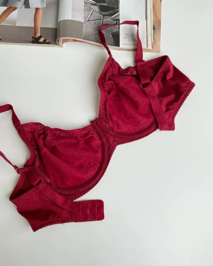 the-backside-of-a-beautiful--red-classic-bra-with-velvet-spraying-Acousma-D-cups