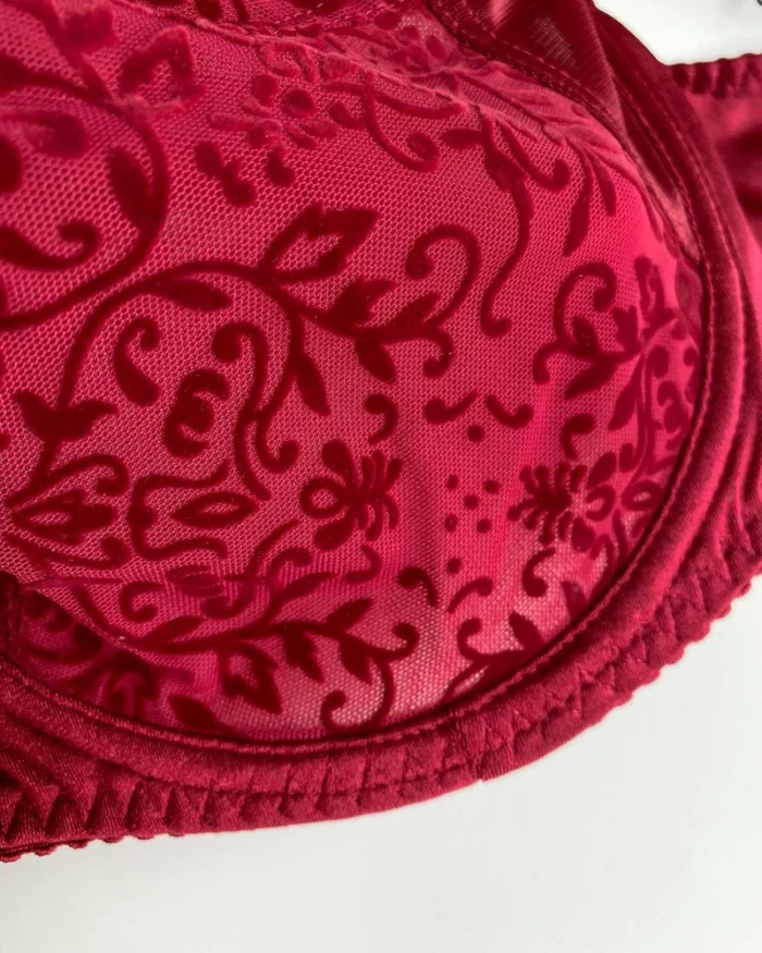 beautiful-red-classic-bra-with-velvet-spraying-without-foam-Acousma-D-cups