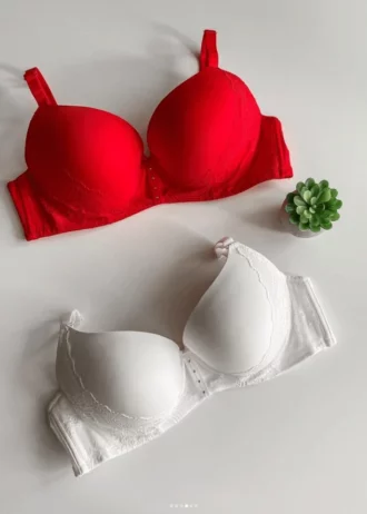 white-and-red-smooth-bras-with-lace-on-the-edge-and-push-up-for-D-cup-with-a-plant-nearby