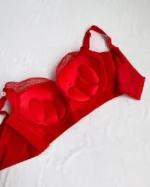 the-backside-of-red-and-beige-bustier-bras-with-push-up-D-cup