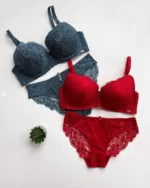 light-blue-and-red-lace-sets-of-underwear-with-a-plant-nearby