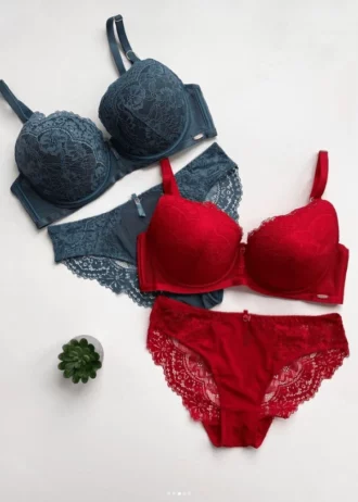 light-blue-and-red-lace-sets-of-underwear-with-a-plant-nearby