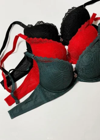 tempting-classic-lace-bras-with-push-up-and-mesh-of-different-colors