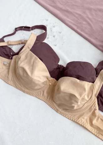 modern-and-smooth-plum-and-beige-balconette-bras-without-foam-and-with-bows-and-wide-straps