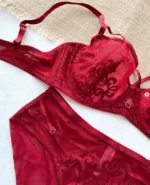 red-mesh-bra-without-foam-with-pieces-of-lace-and-belts-on-the-upper-part-and-high-waisted-panties-bundled