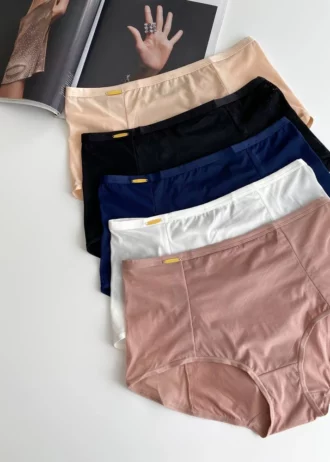 wonderful smooth high-waisted panties of different colors Lanny Mode
